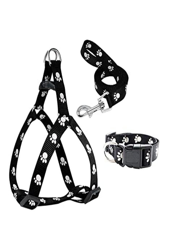 Pups&Pets Adjustable Soft Nylon Paw Printed Combo Set Collar, Harness and Leash for All Breeds Dogs, Cat and Puppies (Pack of 3) - Color as per Availability - Image 1